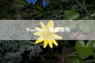 WantQuotes 据意查句