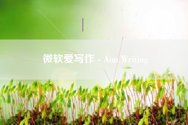 微软爱写作 - Aim Writing