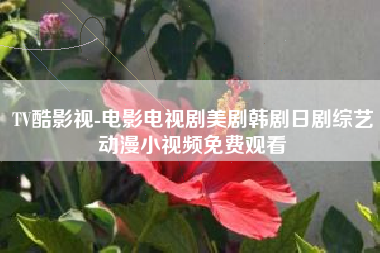 TV酷影视-电影电视剧美剧韩剧日剧综艺动漫小视频免费观看