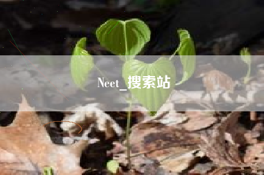 Neet_搜索站