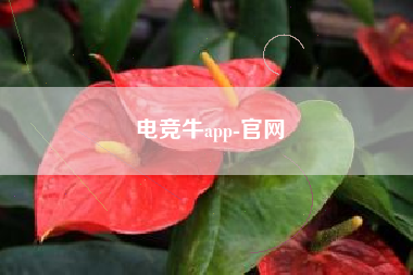 电竞牛app-官网