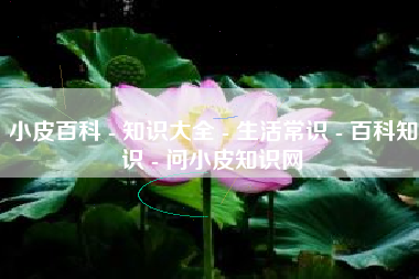 小皮百科 - 知识大全 - 生活常识 - 百科知识 - 问小皮知识网