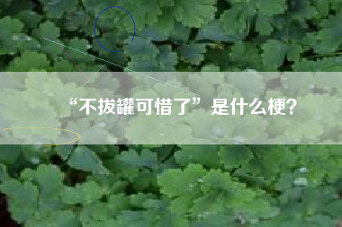 “不拔罐可惜了”是什么梗？