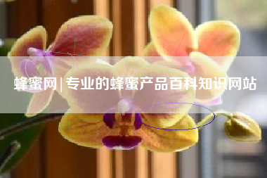 蜂蜜网|专业的蜂蜜产品百科知识网站