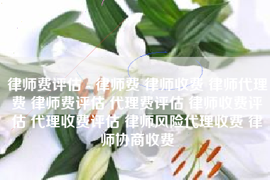 律师费评估 - 律师费 律师收费 律师代理费 律师费评估 代理费评估 律师收费评估 代理收费评估 律师风险代理收费 律师协商收费