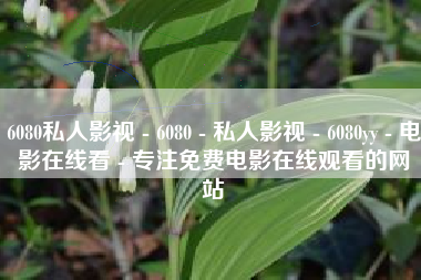 6080私人影视 - 6080 - 私人影视 - 6080yy - 电影在线看 - 专注免费电影在线观看的网站