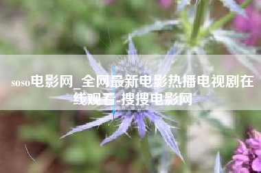 soso电影网_全网最新电影热播电视剧在线观看-搜搜电影网