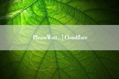 PleaseWait...|Cloudflare