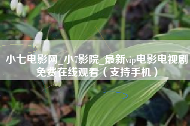 小七电影网_小7影院_最新vip电影电视剧免费在线观看（支持手机）