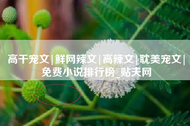 高干宠文|鲜网辣文|高辣文|耽美宠文|免费小说排行榜_贴夫网