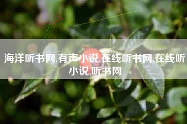 海洋听书网,有声小说,在线听书网,在线听小说,听书网