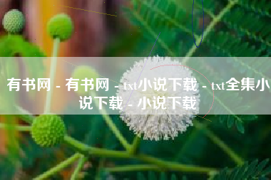 有书网 - 有书网 - txt小说下载 - txt全集小说下载 - 小说下载