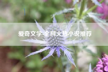 爱奇文学-全网火热小说推荐