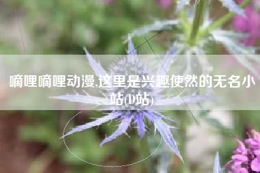 嘀哩嘀哩动漫,这里是兴趣使然的无名小站(D站)