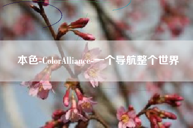 本色-ColorAlliance-一个导航整个世界