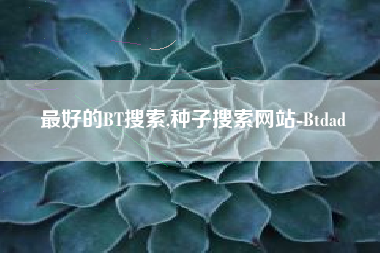 最好的BT搜索,种子搜索网站-Btdad