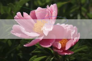 iCloud