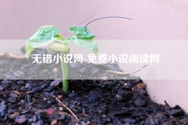 无错小说网-免费小说阅读网