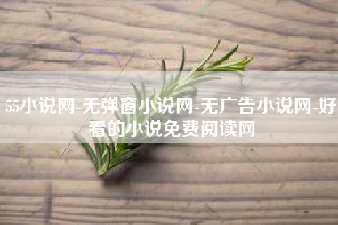 55小说网-无弹窗小说网-无广告小说网-好看的小说免费阅读网