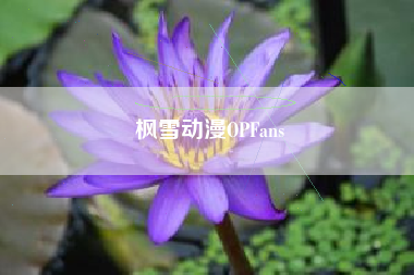 枫雪动漫OPFans