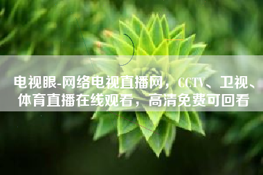 电视眼-网络电视直播网，CCTV、卫视、体育直播在线观看，高清免费可回看