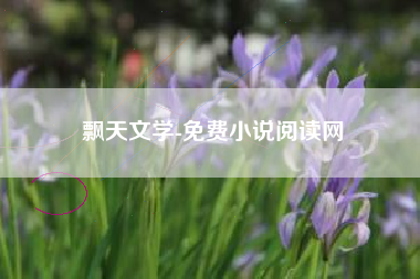 飘天文学-免费小说阅读网