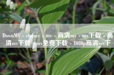 DownMV - chdmv - mv - 高清mv - mv下载 - 高清mv下载 - mv免费下载 - 1080p高清mv下