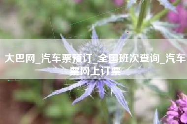 大巴网_汽车票预订_全国班次查询_汽车票网上订票