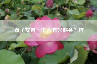 双子女对一个人有好感会怎样