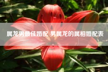 属龙男最佳婚配 男属龙的属相婚配表