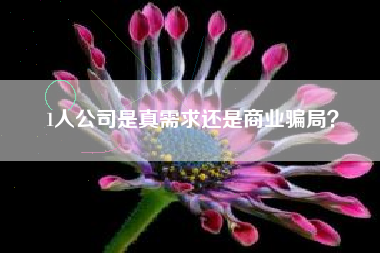 1人公司是真需求还是商业骗局？