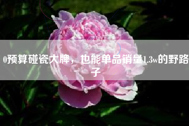 0预算碰瓷大牌，也能单品销量1.3w的野路子