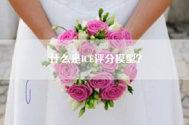 什么是ICE评分模型？
