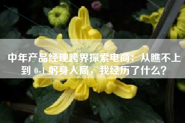 中年产品经理跨界探索电商：从瞧不上到 0-1 躬身入局，我经历了什么？