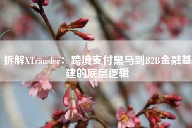 拆解XTransfer：跨境支付黑马到B2B金融基建的底层逻辑