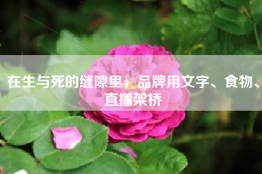 在生与死的缝隙里，品牌用文字、食物、直播架桥