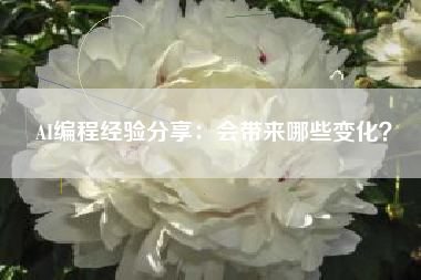AI编程经验分享：会带来哪些变化？
