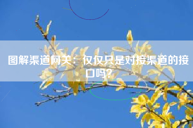 图解渠道网关：仅仅只是对接渠道的接口吗？