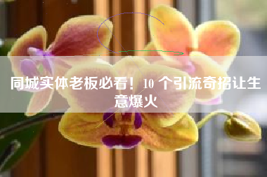 同城实体老板必看！10 个引流奇招让生意爆火
