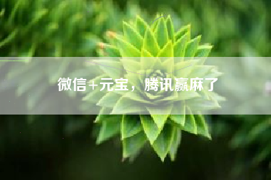 微信+元宝，腾讯赢麻了