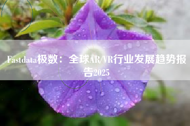 Fastdata极数：全球AR/VR行业发展趋势报告2025