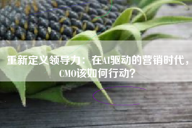 重新定义领导力：在AI驱动的营销时代，CMO该如何行动？