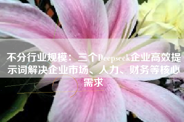 不分行业规模：三个Deepseek企业高效提示词解决企业市场、人力、财务等核心需求