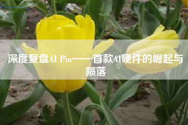 深度复盘AI Pin——首款AI硬件的崛起与陨落