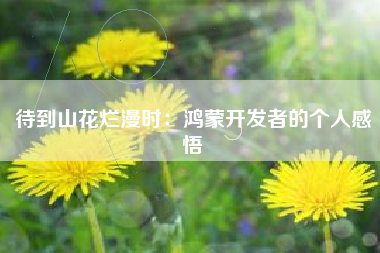 待到山花烂漫时：鸿蒙开发者的个人感悟