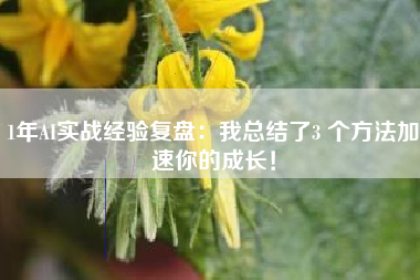 1年AI实战经验复盘：我总结了3 个方法加速你的成长！