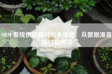 SRM 系统供应商对账全攻略：从数据准备到付款闭环