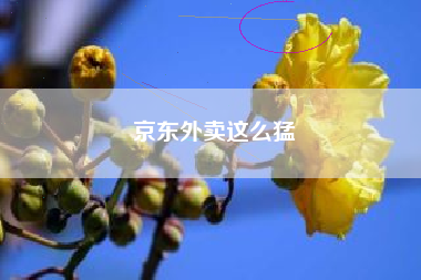 京东外卖这么猛