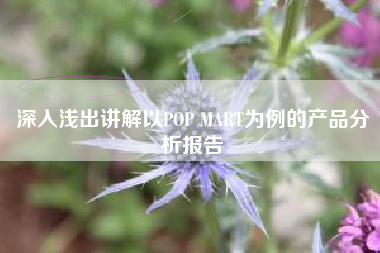 深入浅出讲解以POP MART为例的产品分析报告