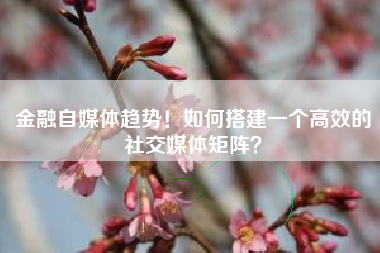金融自媒体趋势！如何搭建一个高效的社交媒体矩阵？